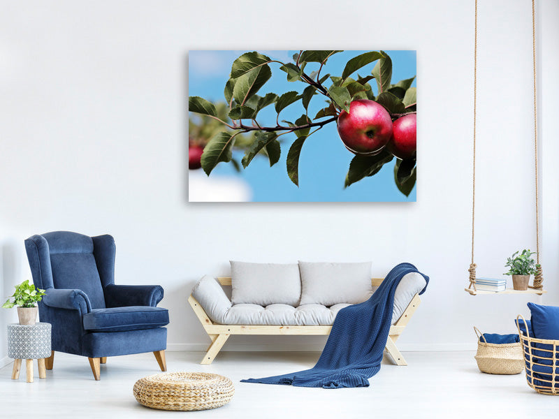 4-piece-canvas-print-apple-on-the-tree