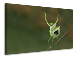 3-piece-canvas-print-are-you-gonna-dance-with-me