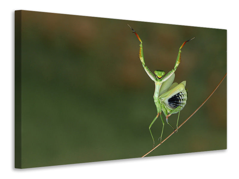 3-piece-canvas-print-are-you-gonna-dance-with-me