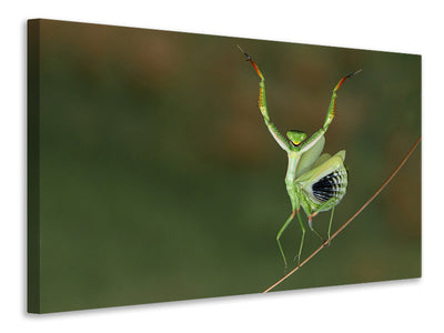 3-piece-canvas-print-are-you-gonna-dance-with-me