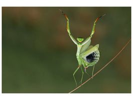 panoramic-3-piece-canvas-print-are-you-gonna-dance-with-me