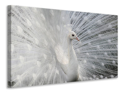 3-piece-canvas-print-as-white-as-snow