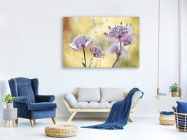 5-piece-canvas-print-astrantia-major