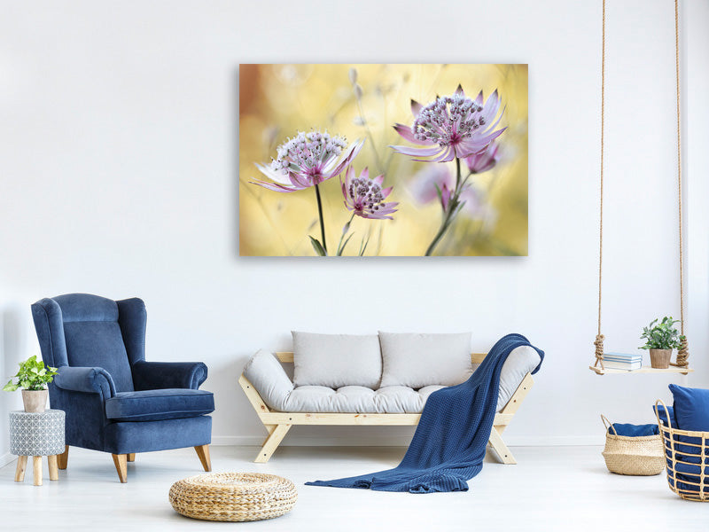 3-piece-canvas-print-astrantia-major