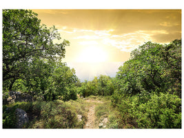 4-piece-canvas-print-at-the-end-of-the-forest