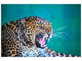 modern-3-piece-canvas-print-attention-leopard