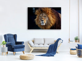 3-piece-canvas-print-attention-lion