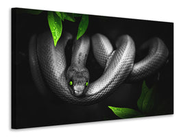3-piece-canvas-print-attention-snake