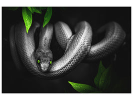 3-piece-canvas-print-attention-snake