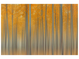panoramic-3-piece-canvas-print-autumn-delight-ii