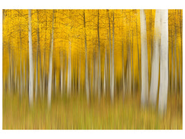 panoramic-canvas-print-autumn-dream-ii