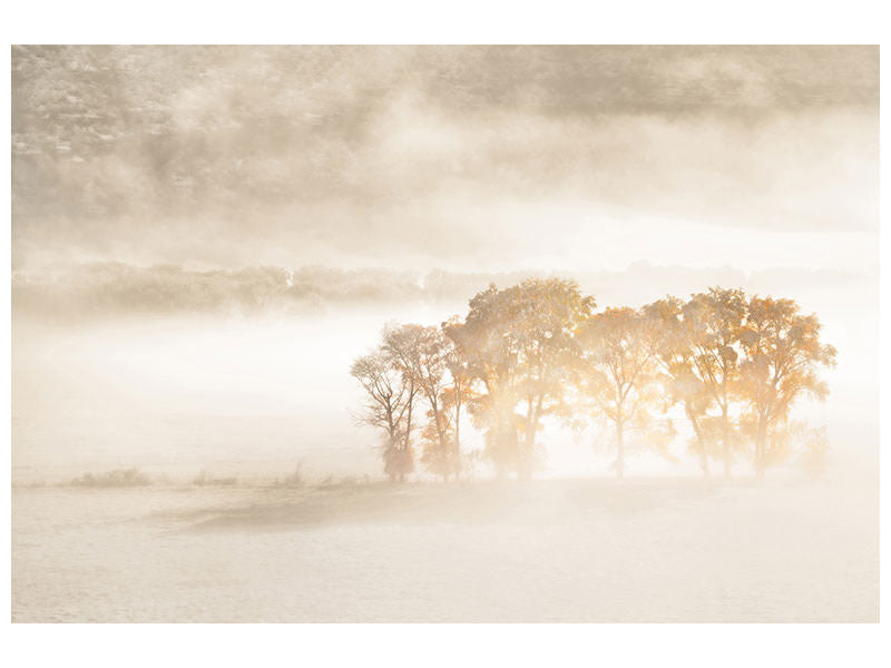 5-piece-canvas-print-autumn-dreams