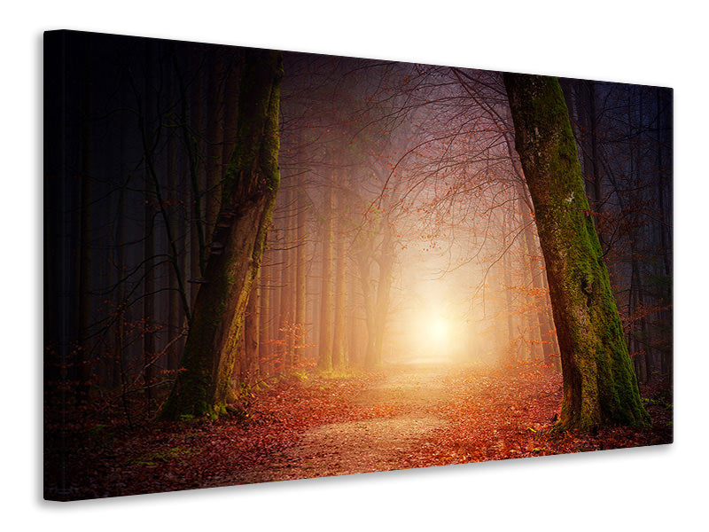5-piece-canvas-print-autumn-in-the-woods