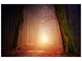 modern-3-piece-canvas-print-autumn-in-the-woods