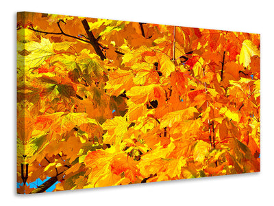 3-piece-canvas-print-autumn-leaves-ii