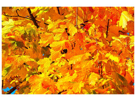 3-piece-canvas-print-autumn-leaves-ii