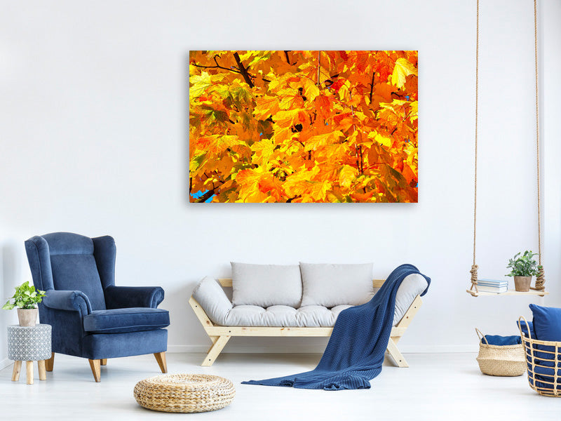 panoramic-canvas-print-autumn-leaves-ii