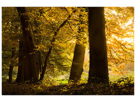4-piece-canvas-print-autumn-leaves
