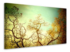 5-piece-canvas-print-autumn-trees-ii