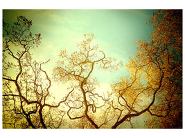 modern-4-piece-canvas-print-autumn-trees-ii
