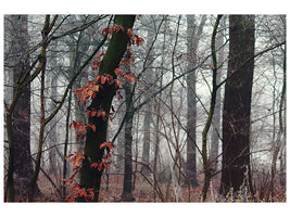 3-piece-canvas-print-autumn-winter
