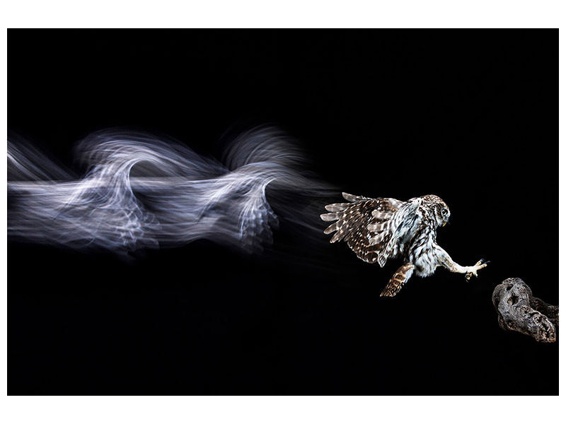 panoramic-canvas-print-back-to-the-future