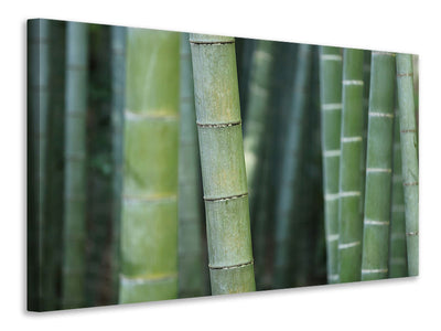 4-piece-canvas-print-bamboo-in-xxl