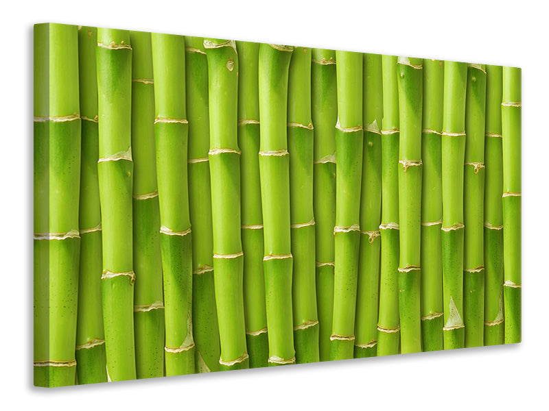 5-piece-canvas-print-bamboo-wall