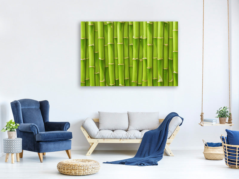 5-piece-canvas-print-bamboo-wall