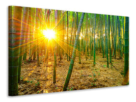 5-piece-canvas-print-bamboos