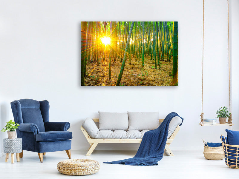 modern-4-piece-canvas-print-bamboos