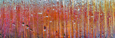 panoramic-canvas-print-behind-glass-panorama