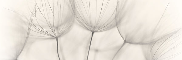 panoramic-canvas-print-no-title-panorama