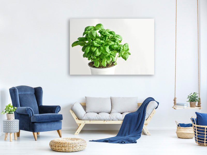 4-piece-canvas-print-basil-in-the-pot