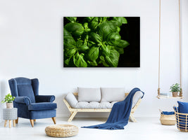 5-piece-canvas-print-basil-in-xl