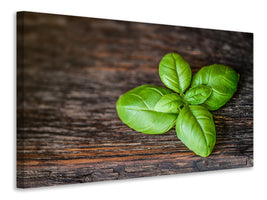 3-piece-canvas-print-basil-leaf-in-xxl