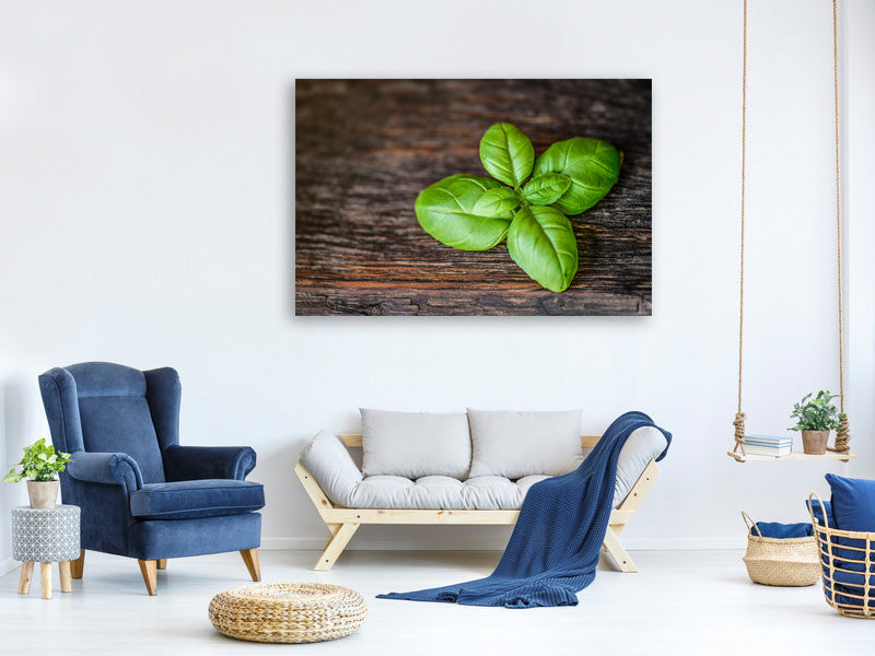modern-4-piece-canvas-print-basil-leaf-in-xxl