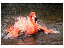 5-piece-canvas-print-bath