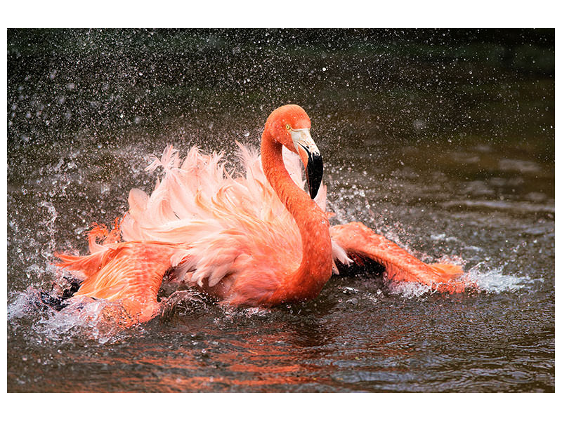 4-piece-canvas-print-bath