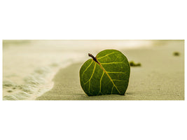 3-piece-canvas-print-beach-leaf