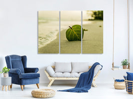 panoramic-3-piece-canvas-print-beach-leaf