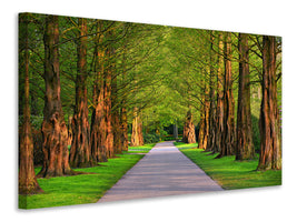 modern-4-piece-canvas-print-beautiful-avenue-in-nature