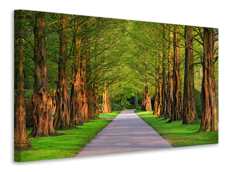 3-piece-canvas-print-beautiful-avenue-in-nature