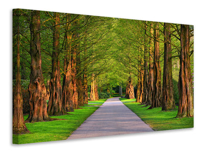 3-piece-canvas-print-beautiful-avenue-in-nature