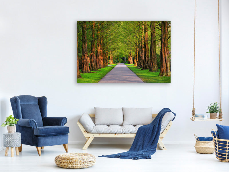 5-piece-canvas-print-beautiful-avenue-in-nature