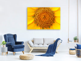 modern-3-piece-canvas-print-beautiful-buds-of-the-sunflower
