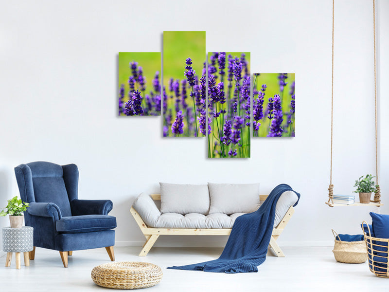 modern-3-piece-canvas-print-beautiful-lavender