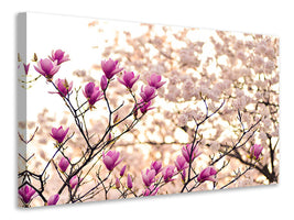 4-piece-canvas-print-beautiful-magnolia-xl