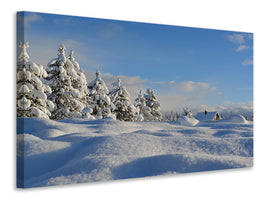 panoramic-canvas-print-beautiful-snow-landscape