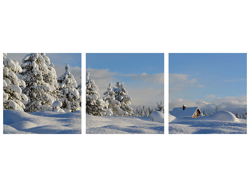 modern-4-piece-canvas-print-beautiful-snow-landscape